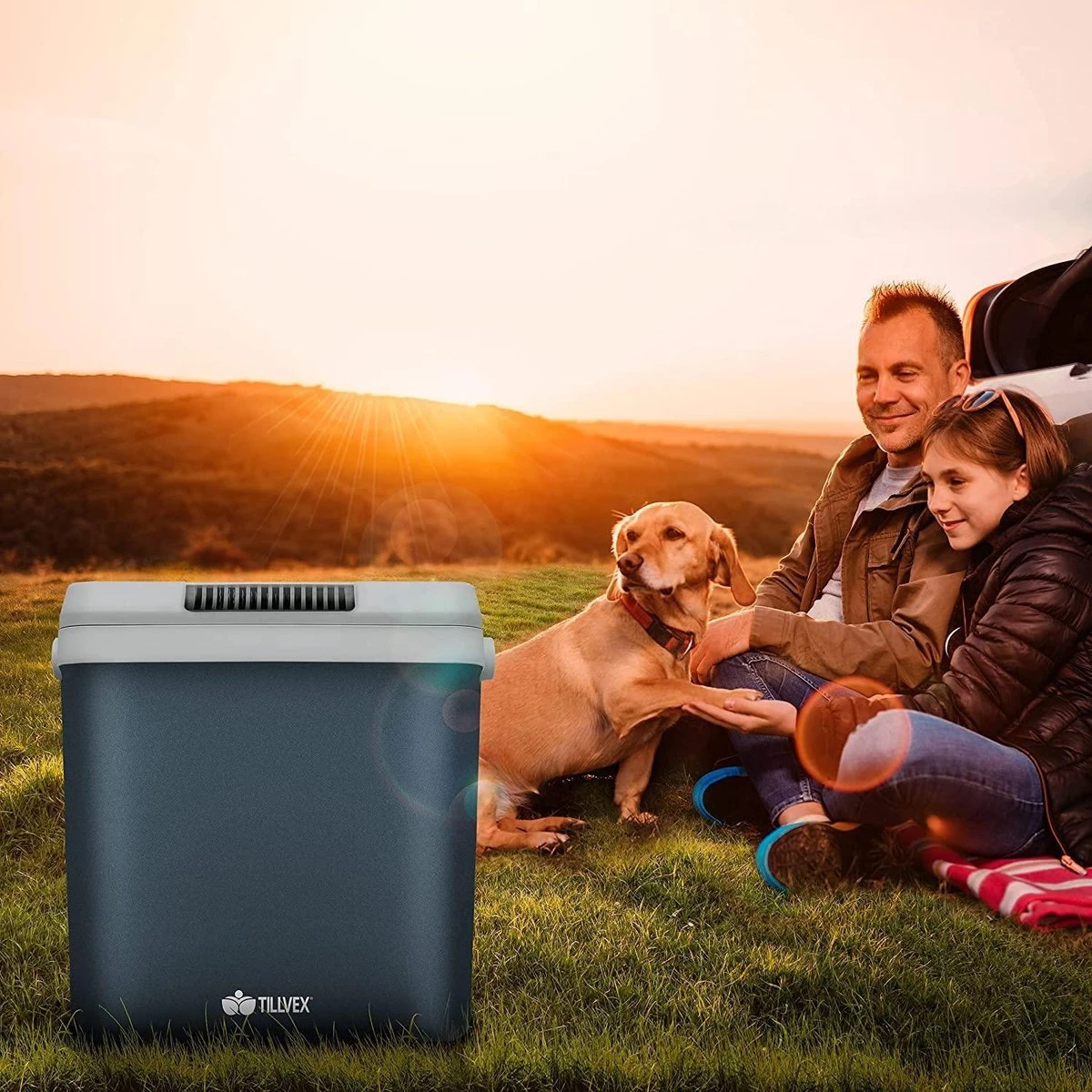 Tillvex- Koelbox, Coolbox, 32 Liter, Grijs - Afbeelding 3