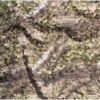 Camouflagenet 4meter Proloo In 3D Natuurlijk Groen 1,5x4meter - Advanced Camouflage - 2-laags Met Binnennet En 3D Blaadjes Buitennet | Natuurlijke Kleuren | Polyester | Boomhut | Kind | Jacht | Buitenleven