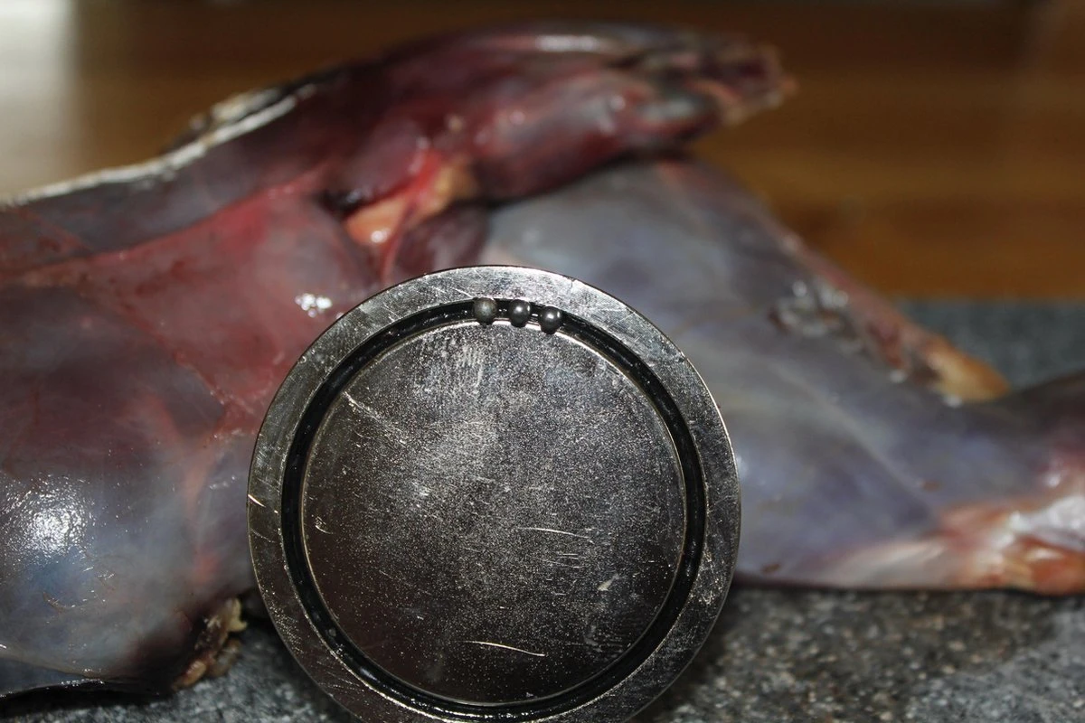 【JACHTMAGNEET / HAGELMAGNEET 】– Jacht Accessoires 2020 – Hagel Verwijderaar – Jagers Cadeau - Wild Magneet - Afbeelding 3