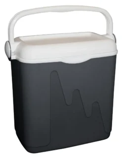 Curver Koelbox - 20L - Grijs - Isolatiekoelbox