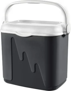 Curver Koelbox - 32L - Antraciet